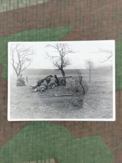 Foto, Waffen-SS, 7.5-cm-Pak 40 in Stellung