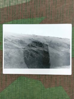 Foto, Waffen-SS, im Gelände