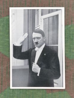 Zigarettenbild, Sammelwerk Nr. 15, Gruppe 64, Bild Nr. 064, Nach dem Neujahrs-Diplomatenempfang 1936