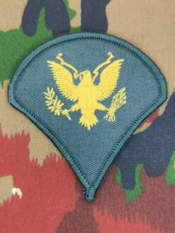 Gradabzeichen U.S. ARMY, (03) Specialist