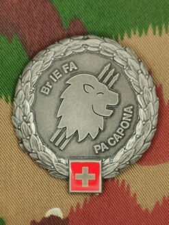 Béretemblem Brigade IE FA