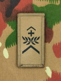 Gradabzeichen (05) Wachtmeister, Variante 3