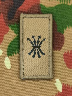 Truppengattungsabzeichen Führungsunterstützungstruppen, Variante 3