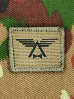 Funktionsabzeichen Lufttransportkompanie / Lufttransportstaffel, Variante 2