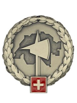 Béretemblem Armeetruppen, Variante 2