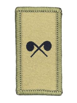 Truppengattungsabzeichen ABC-Abwehrtruppen, Variante 4